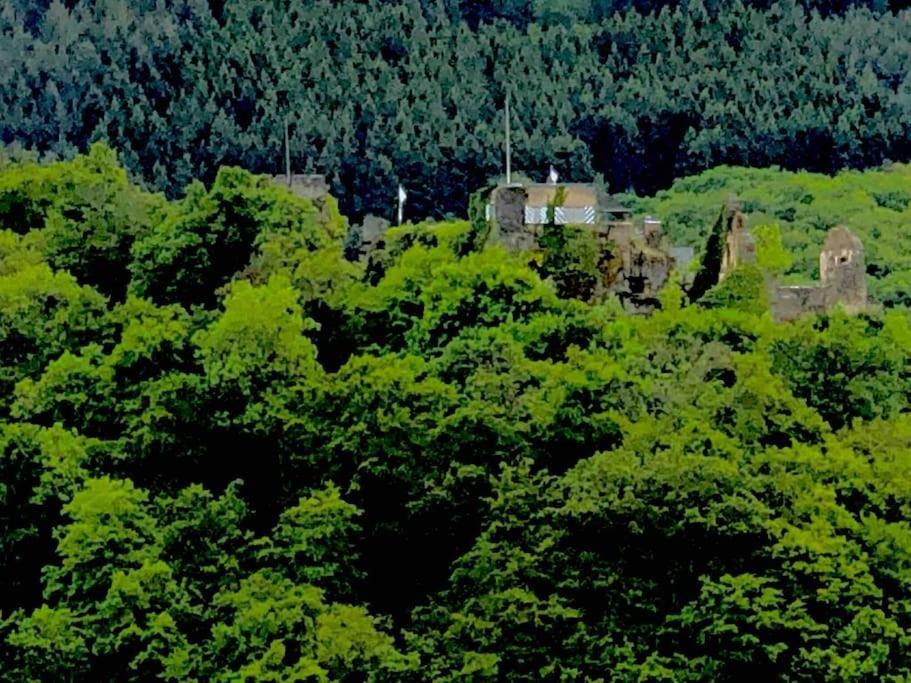 Apartmán Wohnen Direkt Am Moselstrand Bernkastel-Kues Exteriér fotografie