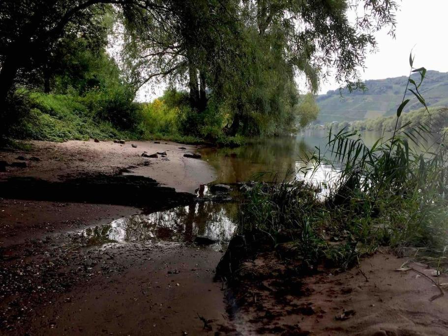 Apartmán Wohnen Direkt Am Moselstrand Bernkastel-Kues Exteriér fotografie