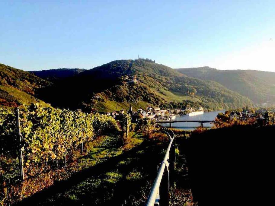 Apartmán Wohnen Direkt Am Moselstrand Bernkastel-Kues Exteriér fotografie