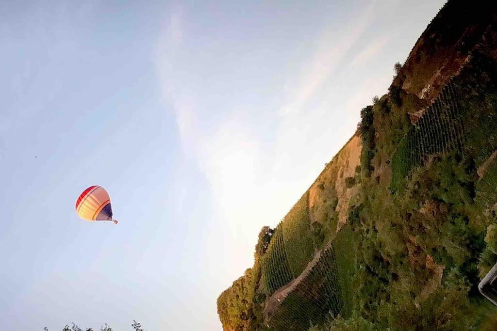 Apartmán Wohnen Direkt Am Moselstrand Bernkastel-Kues Exteriér fotografie